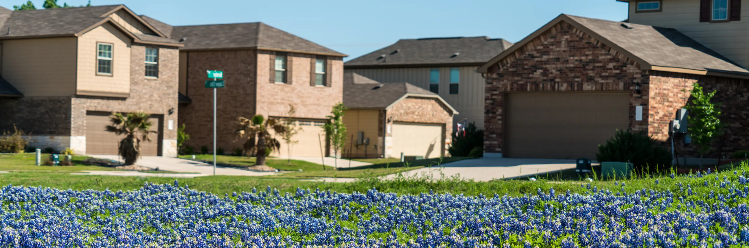 Outdoor view of four homes in a peaceful neighborhood with a bed of grass and flowers in the foreground